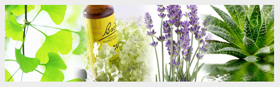 annie-perrier-naturopathie-massage-drainage